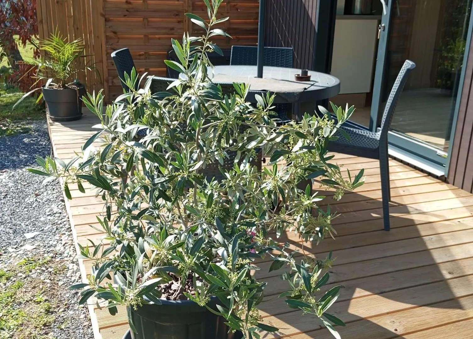 Hébergement de vacances Maisonnette Au Calme Cons-Sainte-Colombe